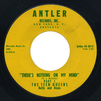 Teen Queens – There’s Nothing On My Mind / Part 2 – Antler