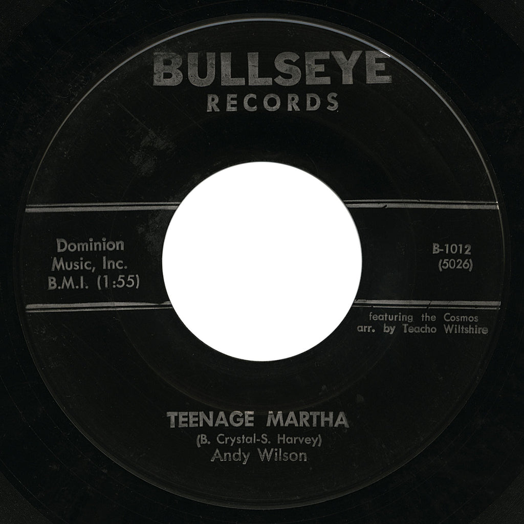 Andy Wilson – Teenage Martha – Bullseye