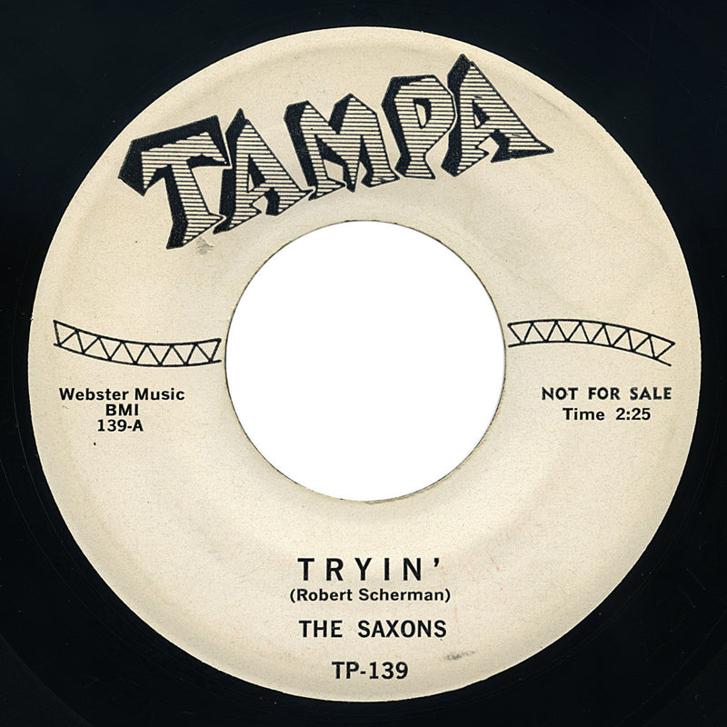 Saxons – Tryin’ – Tampa